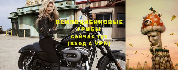 apvp Верхний Тагил