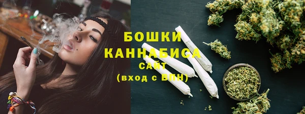 мдпв Верея