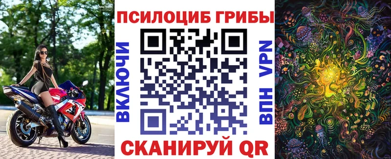 Галлюциногенные грибы Magic Shrooms продажа наркотиков Дальнереченск
